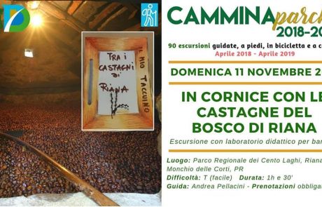 La cornice del Bosco di Riana, Escursione con laboratorio didattico organizzato dalla Cooperativa 100 Laghi di Corniglio